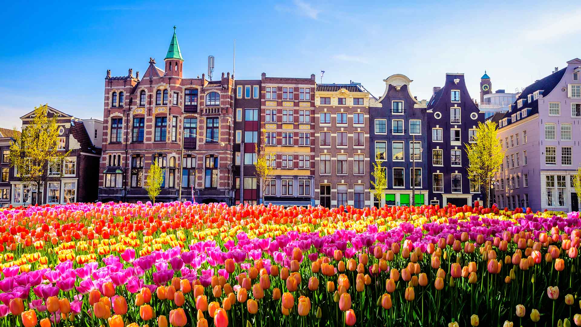the-ultimate-amsterdam-travel-guide-by-the-airbaltic-blog